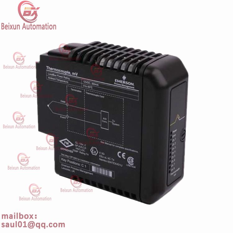 EMERSON VE4003S2B10 Analog Input Card Detection