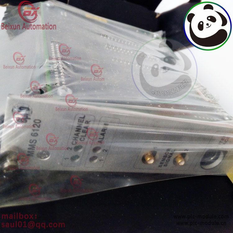 EPRO MMS6120 Monitoring module MMS 6120(图2)