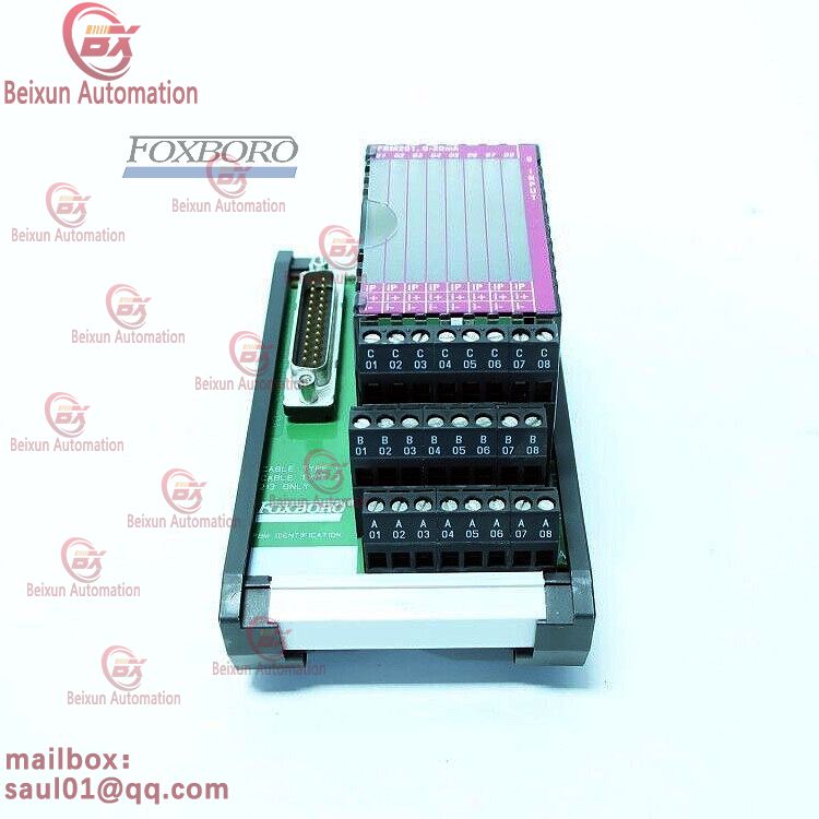 FOXBORO RH916XG TAs for Compact FBM201 module