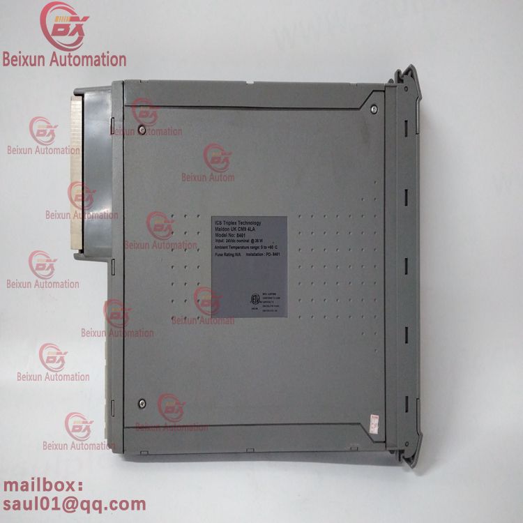 ICS TRIPLEX T8461 Output function data