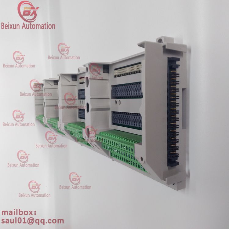 5X00497G01 19-01-21 EMERSON Input module