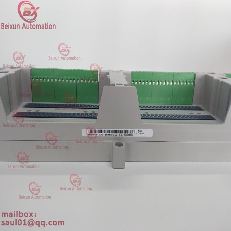 5X00497G01 19-01-21 EMERSON Input module