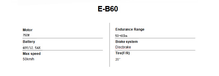 All-terrain 2x2 two-wheeled E-B60 adult electric mountain bike(图2)