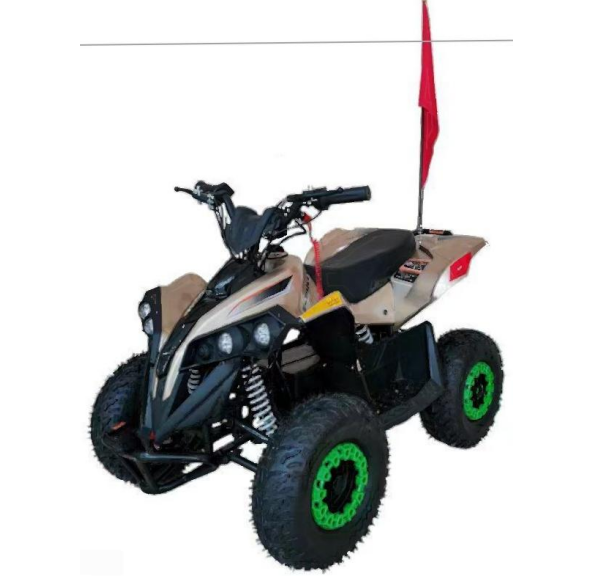 All-terrain 4x4 four-wheel WY-EA007 adult beachbuggy