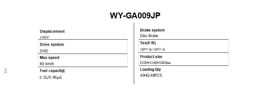 All-terrain Vehicle 4x4 four-wheel WY-GA009JP adult off-road vehicle(图2)