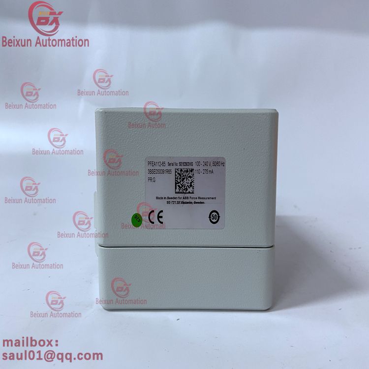 ABB PFEA112-65 3BSE050091R65 Module controller