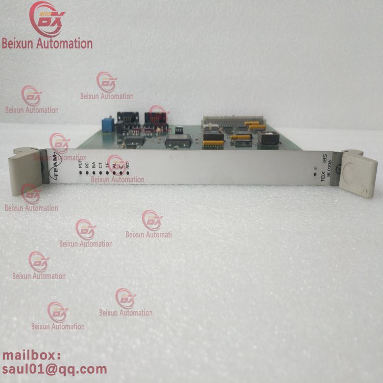 TEAM BL0308 BL0170 supply series DCS system control PLC modules