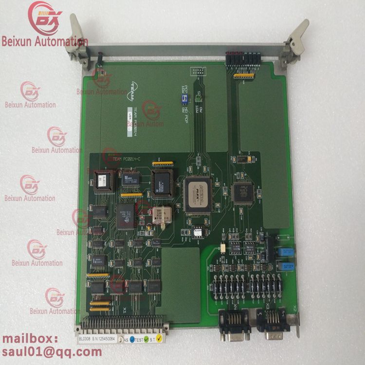 TEAM BL0308 BL0170 supply series DCS system control PLC modules